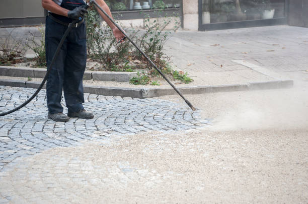 Best Animal Enclosure Cleaning  in Pink, OK